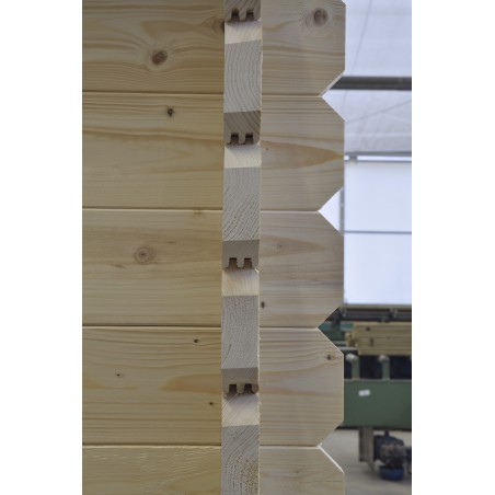 Houten tuinhuis - 6x5 m - 48 m² met terras