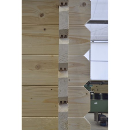 Houten tuinhuis 30 m² - 6x5 m - 40 mm