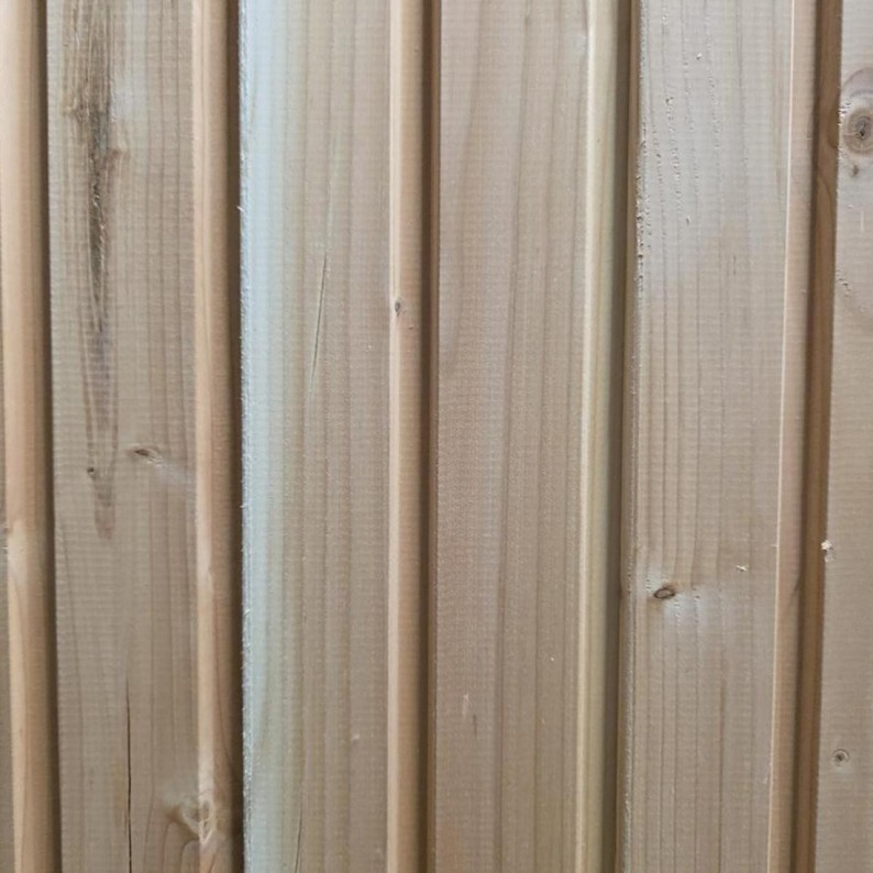 Emily 202525 200x250 m